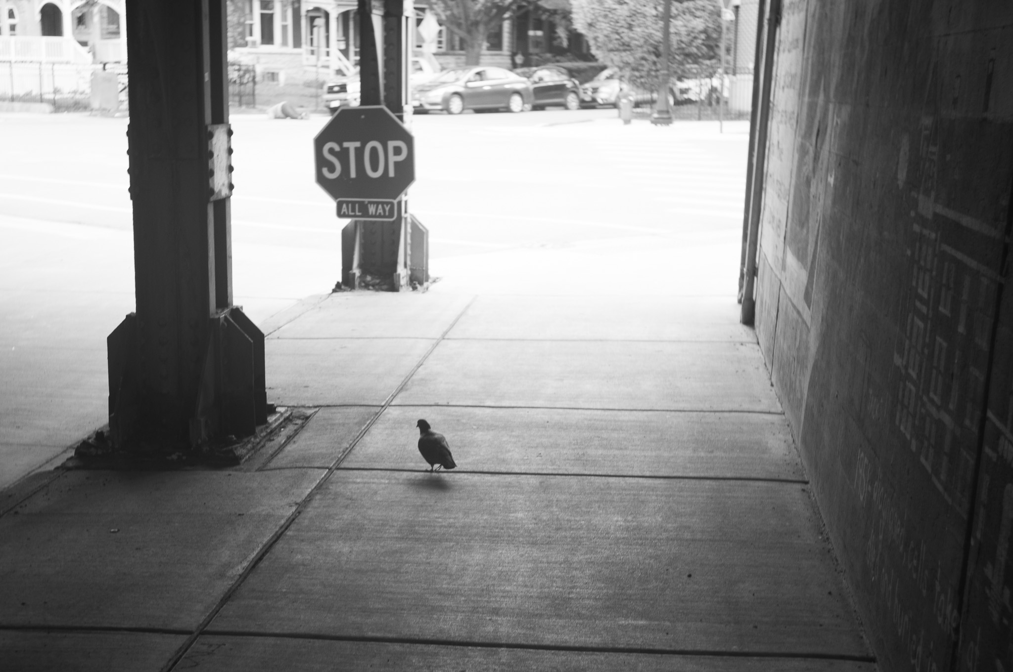 Christian Solorzano Photography